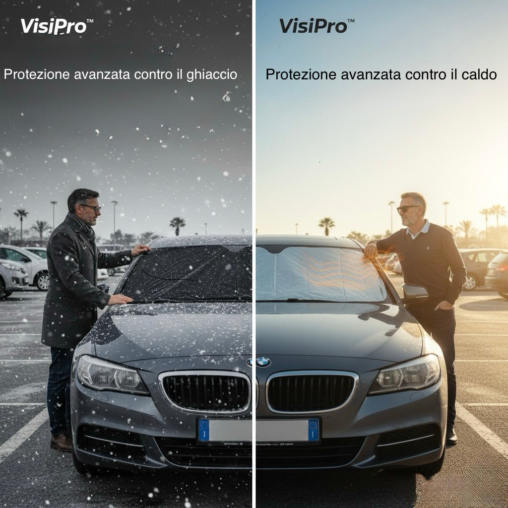 VisiPro™